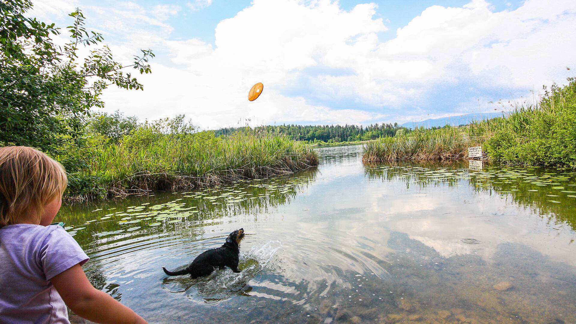 Hunde willkommen in Kärnten