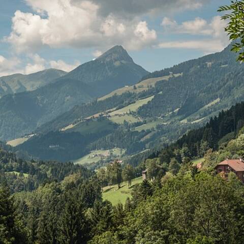Stockenboi in der Naturarena Kärnten