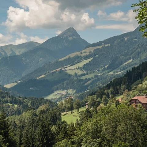 Stockenboi in der Naturarena Kärnten