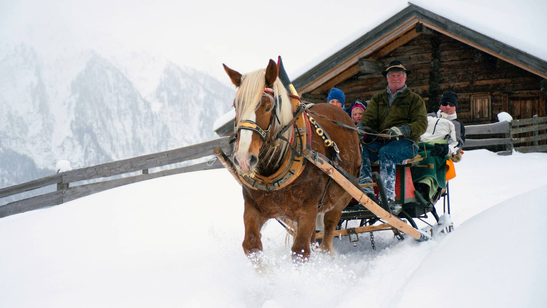 <p>Pferdeschlitten in Apriach Nationalpark Hohe Tauern</p>