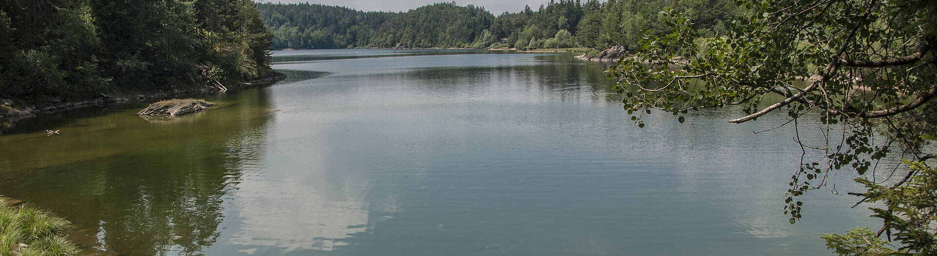 Forstsee in Techelsberg am Wörthersee