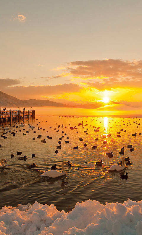 Klagenfurt am Wörthersee bei Sonnenuntergang