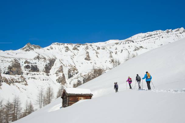 Schneeschuhwanderung Wildtierbeobachtung Hohe Tauern