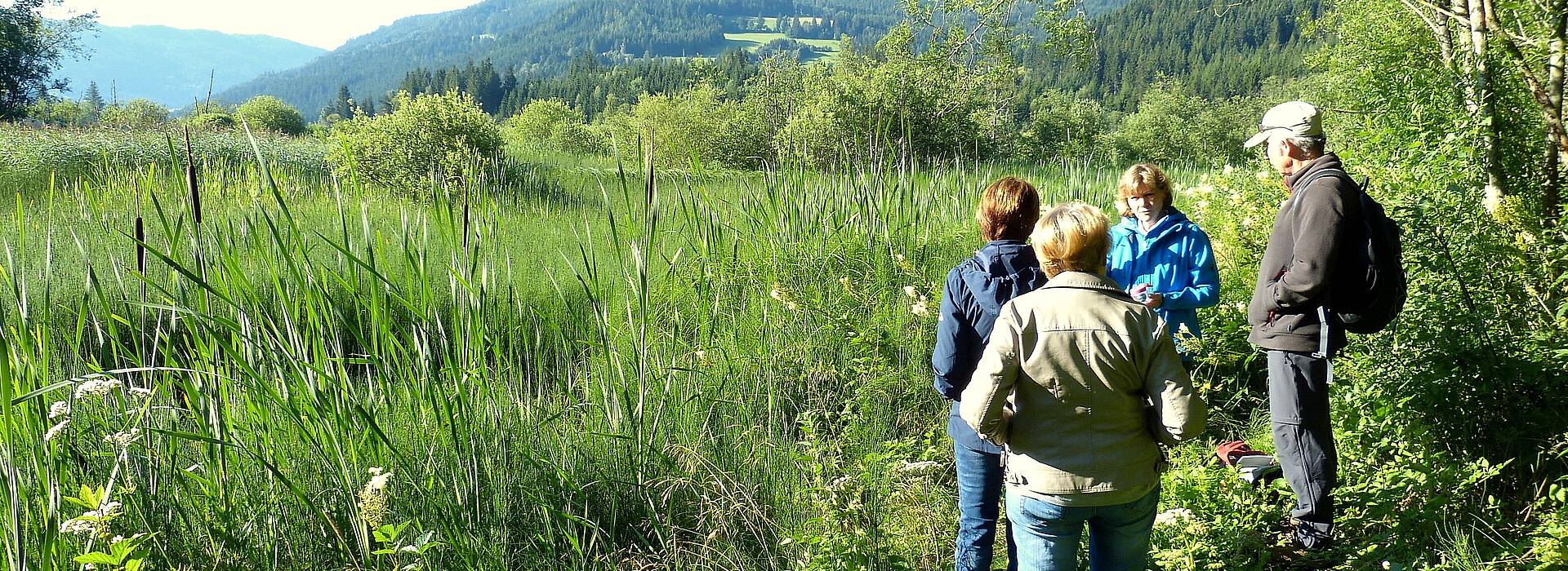 <p>Magische Momente Sommer, Hörfeldmoor Mittelkärnten</p>