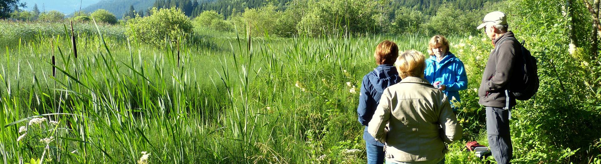 <p>Magische Momente Sommer, Hörfeldmoor Mittelkärnten</p>