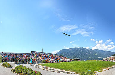 Adler Arena Burg Landskron