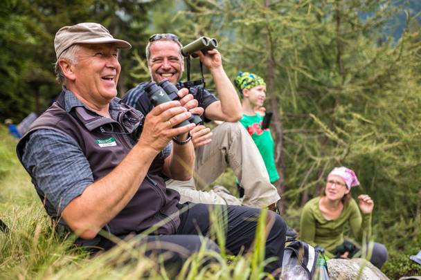 <p>Magische Momente Sommer, Rotwildbeobachtung in Mallnitz</p>