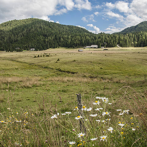 Wandern in Glödnitz in Mittelkärnten