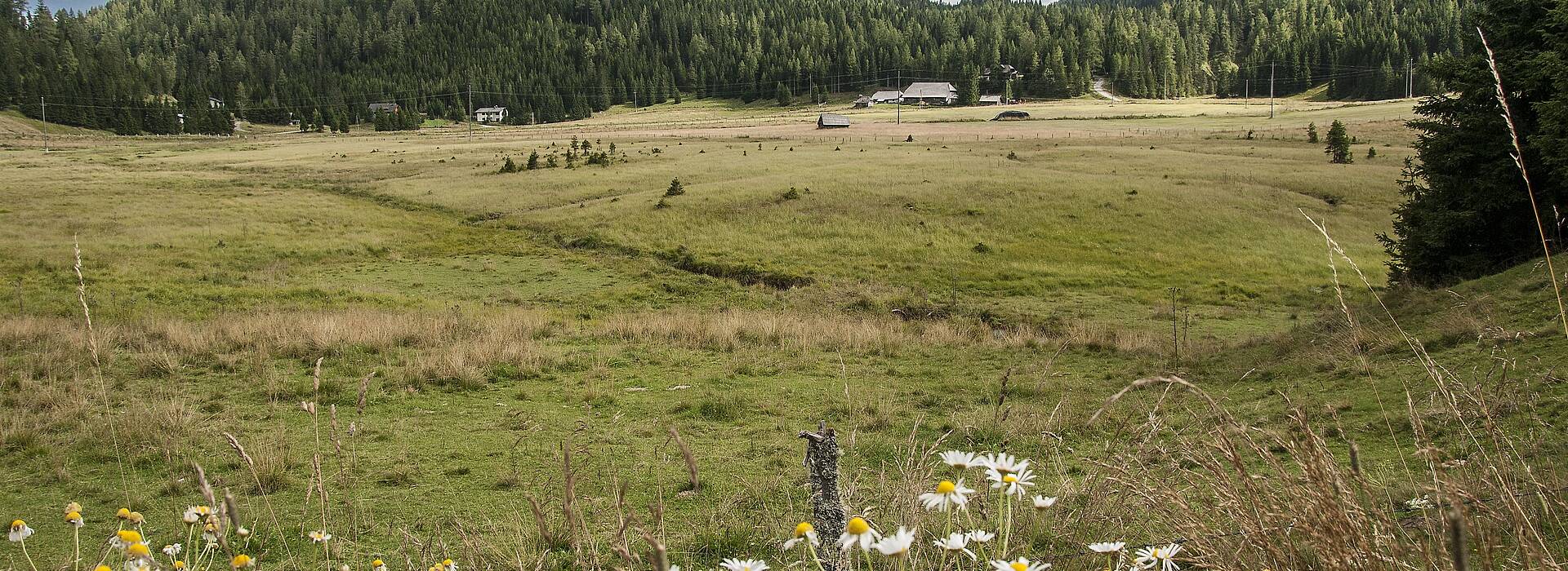 Wandern in Glödnitz in Mittelkärnten