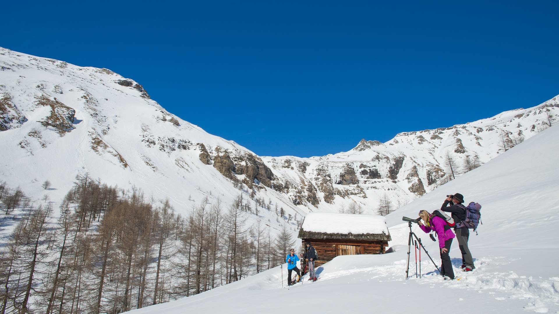 Schneeschuhwanderung Wildtierbeobachtung Hohe Tauern