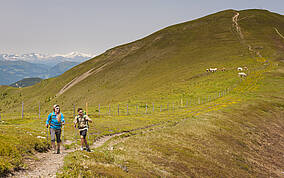 Wandern am Alpe Adria Trail Nockberge