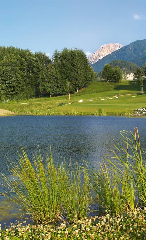 Golfclub Finkenstein