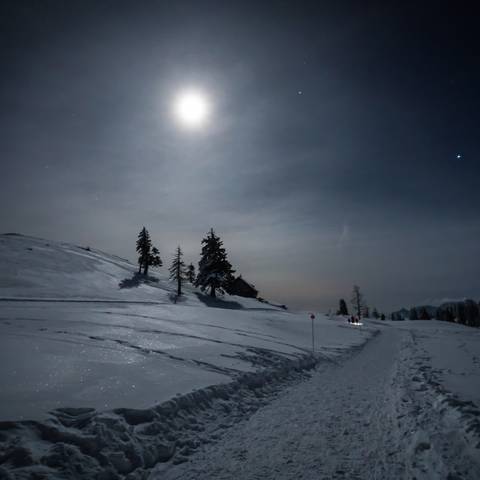 Geführte Vollmond-Schneeschuhwanderung in Kärnten - im Naturpark Dobratsch.