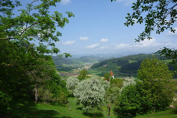Blick auf das Granitztal im Lavanttal
