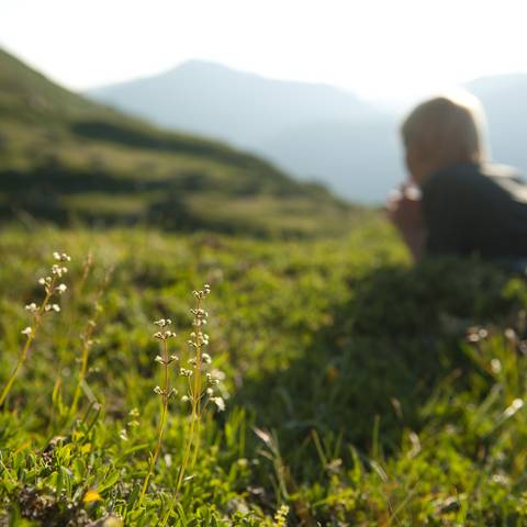 Naturerlebnis Kärnten Bad Kleinkirchheim Sommer 2012