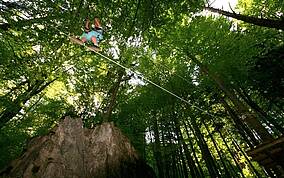 Waldseilpark Tscheppaschlucht Ferlach