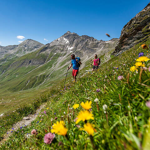 Wandern am Tauernhoehenweg