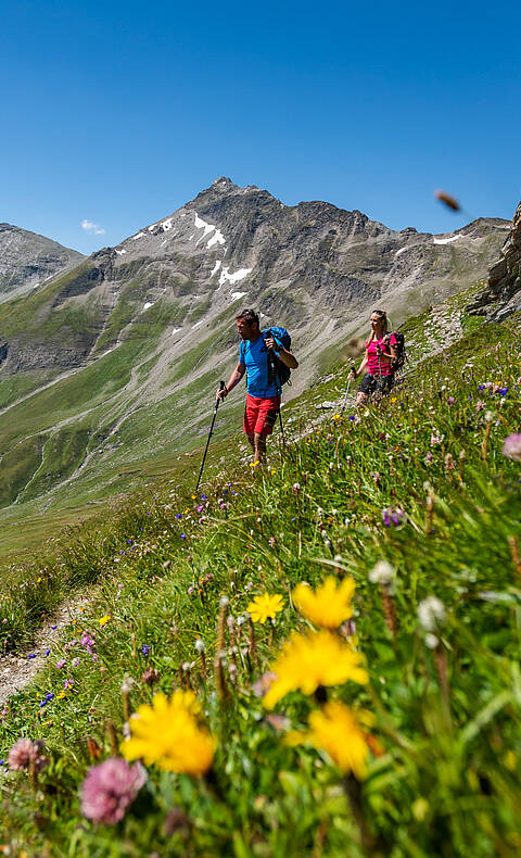 Wandern am Tauernhoehenweg