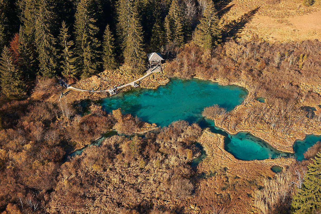 Alpe-Adria-Trail Zelenci Alpe-Adria-Trail Zelenci