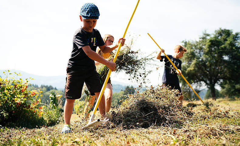 Urlaub am Bauernhof Zechnerhof 