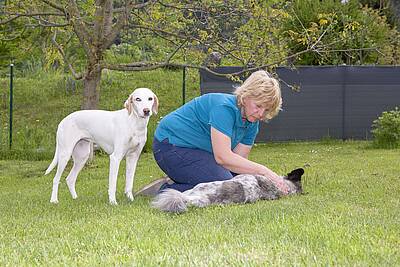 Ferienhaus Saak Alianne Oomen Hundemassage