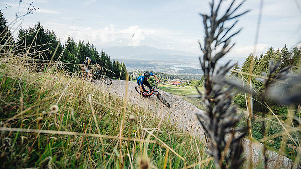 Lake.bike Flowgartner Trail