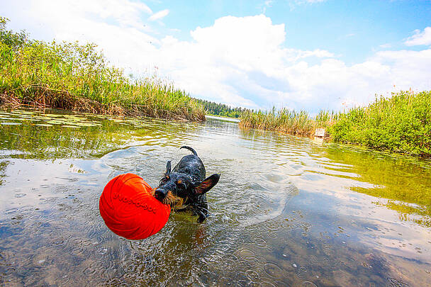 Urlaub mit Kind und Hund © pixelpoint multimedia, Wolfgang Handler