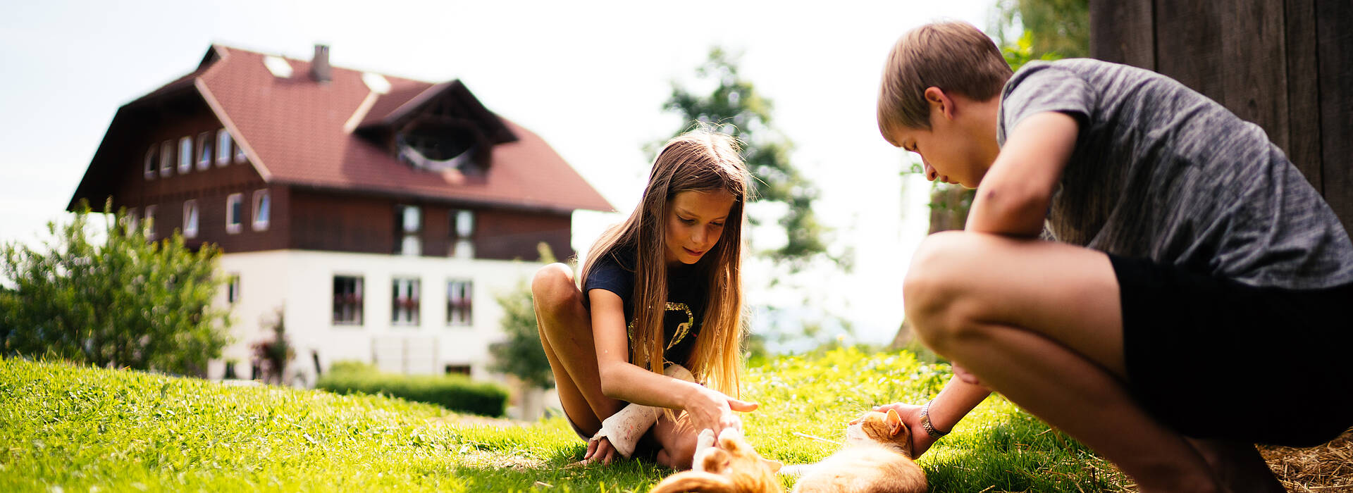 Kinder mit Katzen beim Zeilinger 