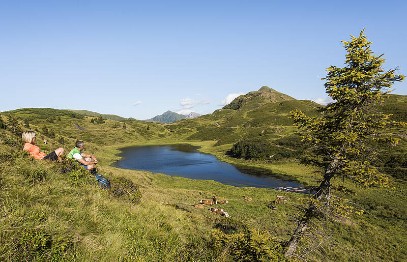 Panoramawandern am Nassfeld