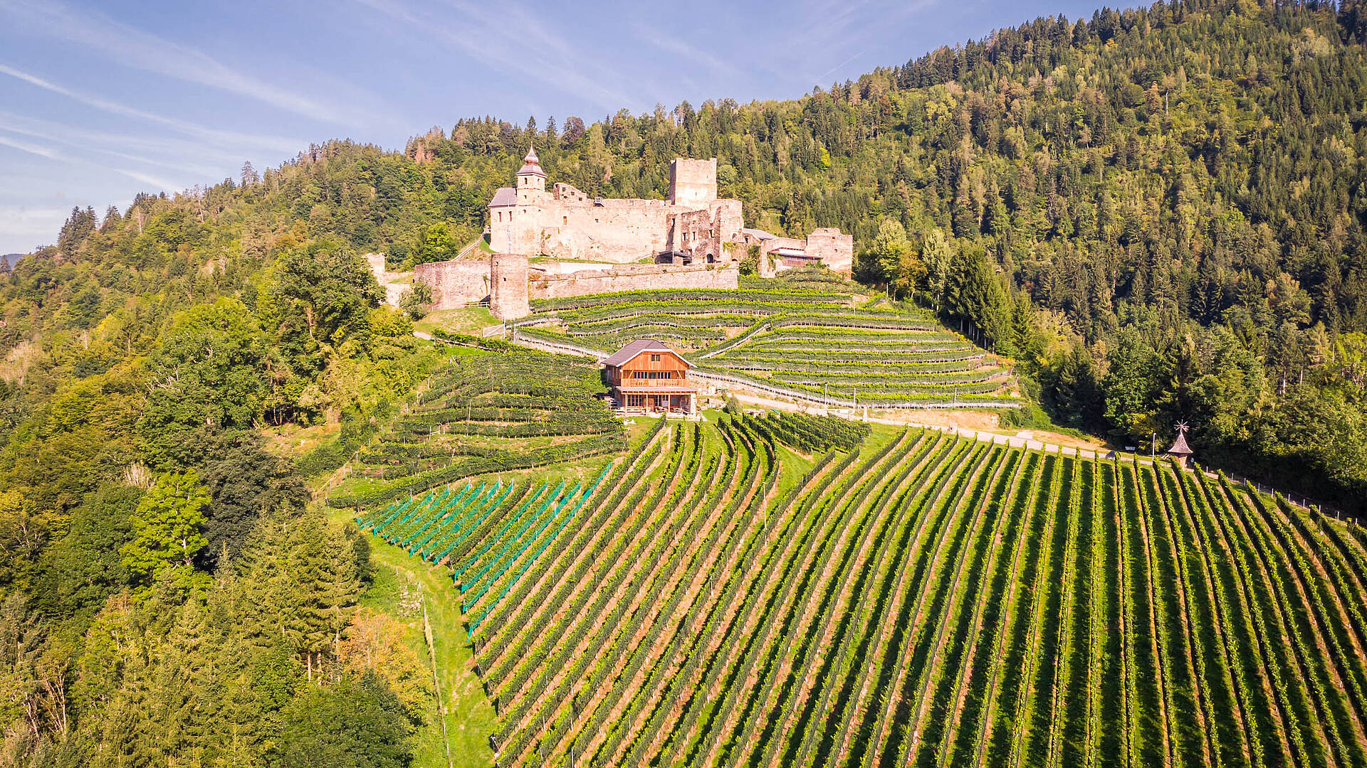 Burg Glanegg mit Weingarten